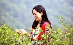 免费BGMBGMBGM胖老太太东北